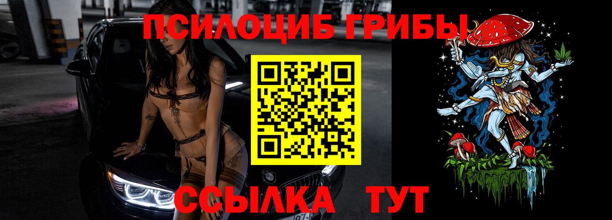 Псилоцибиновые грибы MAGIC MUSHROOMS Котлас