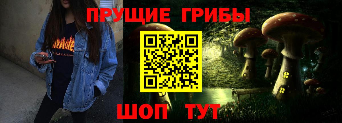 Галлюциногенные грибы Psilocybine cubensis  наркотики  Котлас  Вход с VPN 